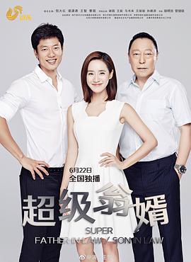 超级翁婿在线观看